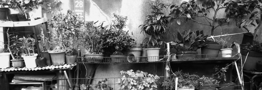 迷宮地帯も秋（北区赤羽〜十条）